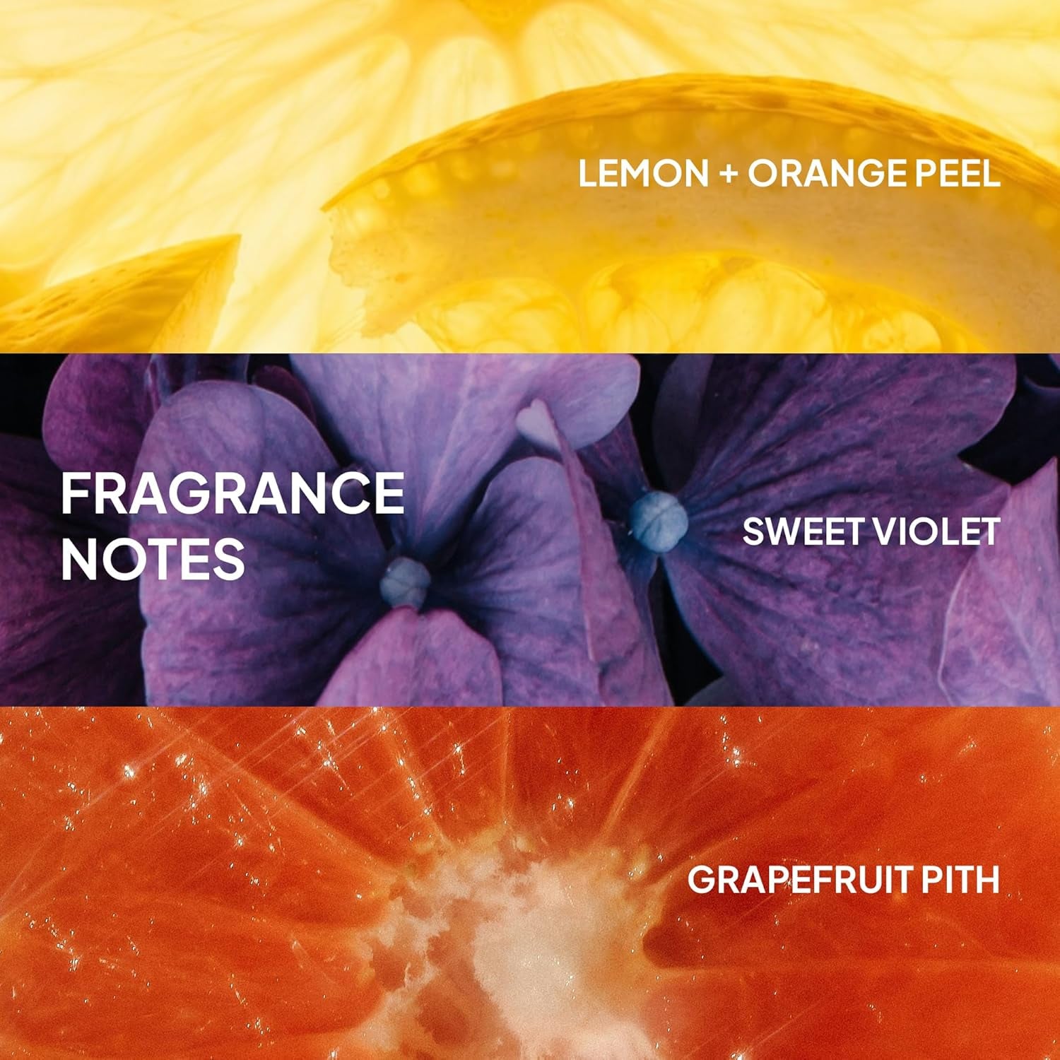 VERB Ghost Oil – Weightless Moringa-Infused Hair Oil for Frizz-Free Shine