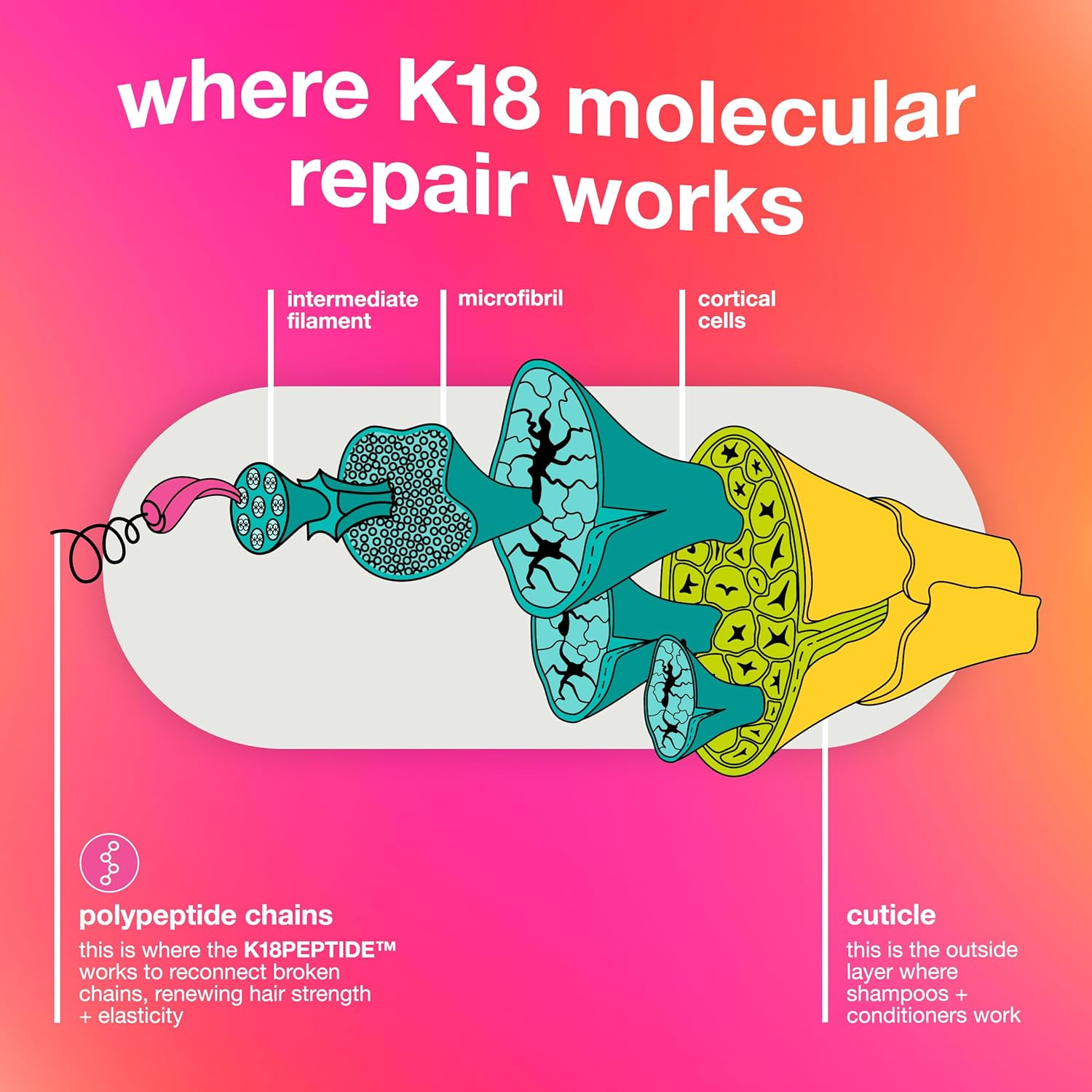 K18 Molecular Repair Leave-In Hair Mask – 4-Minute Damage Repair for Stronger, Smoother Hair